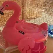^_^アイリ^_^の画像