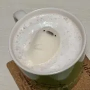 ナッツの画像