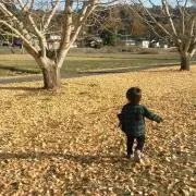 しましま