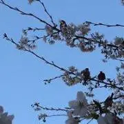 みるき〜☆