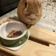 kiyoの画像