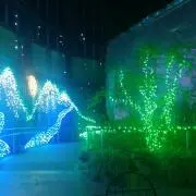丸の画像