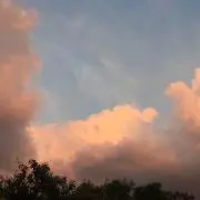 ねる