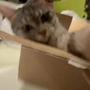 ︎^_^の画像