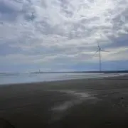 erenaの画像