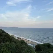 キャリパムパム00の画像