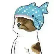 にゃんちゃんまるの画像