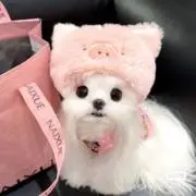 m♡の画像