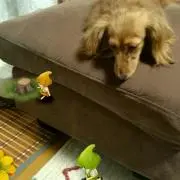 Maa:-)(プロフ必読)