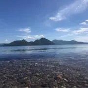 キキの画像