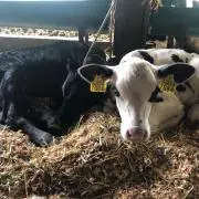 るい☺︎