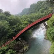 ロッテリア