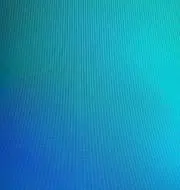 ポメチワの画像