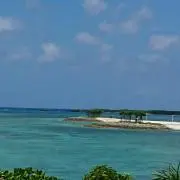 あやこの画像