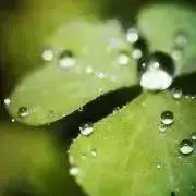 akiko♪の画像