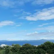ごままままの画像