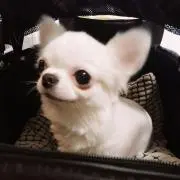 ルナココ