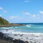 Shigeの画像