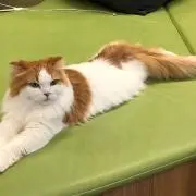 なぎ