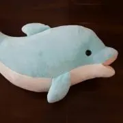 イルカに会いたいの画像