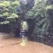 スーの画像