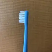 たけざきの画像
