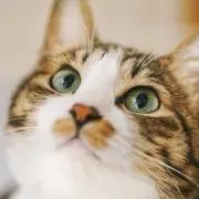 森川そらの画像
