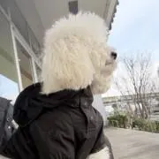 Marelの画像