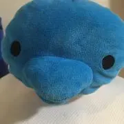 パッカイ