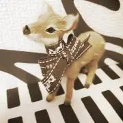RICAの画像