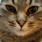 hrrrの画像