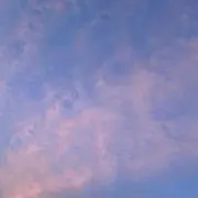 mumuの画像
