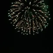 トロ
