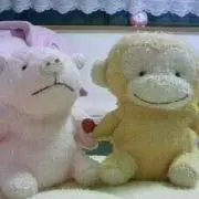 ぽにょ@グッズ整理中の画像