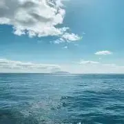 七緒