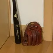 野球bacaの画像