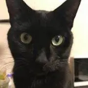 くまちゃんの画像