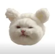 怜の画像