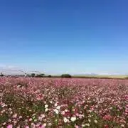 ぱぃちゃん(プロフィール閲覧必須!!)