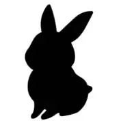 POLAの画像