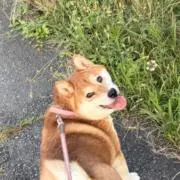 ワイン