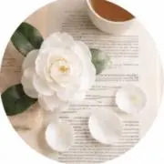 カメリアの画像