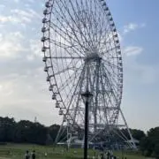 あんぱんの画像