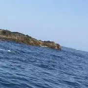 釣り無双の画像