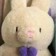 もこの画像