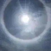 skyskyの画像