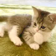 miyaの画像