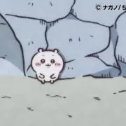 nashikoの画像