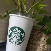 クリームチーズの画像