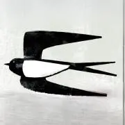 tsubame.の画像